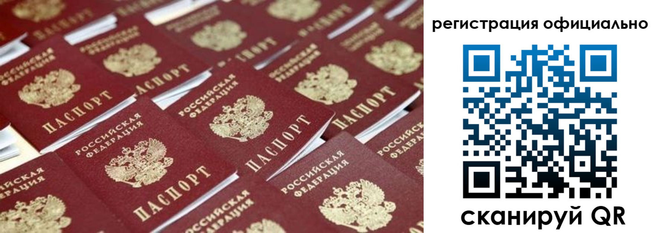 прописка поиск в Брянске
